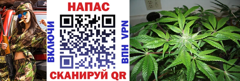 Марихуана индика  Очёр 